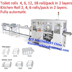 Full Automatic Toilet Paper Kitchen Towel Roll Bundle Packing Machine